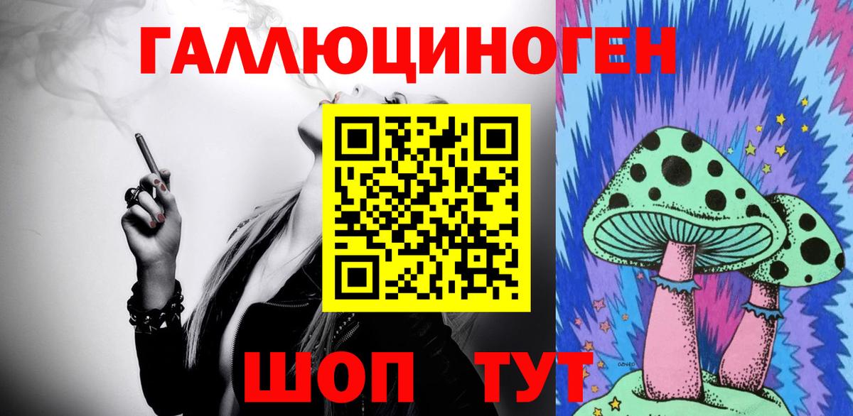 Галлюциногенные грибы Psilocybine cubensis Вязьма