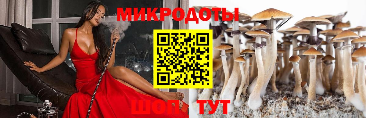 Вязьма  Галлюциногенные грибы прущие грибы  Вход с VPN 
